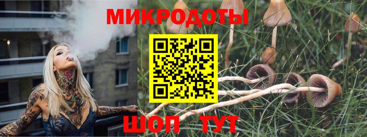 Галлюциногенные грибы прущие грибы Луга