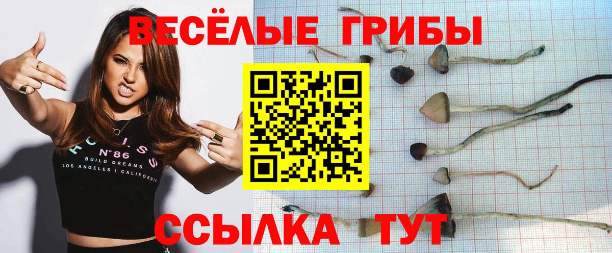 Псилоцибиновые грибы GOLDEN TEACHER  где можно купить наркотик  Псилоцибиновые грибы ЛСД  Луга  Вход с VPN 